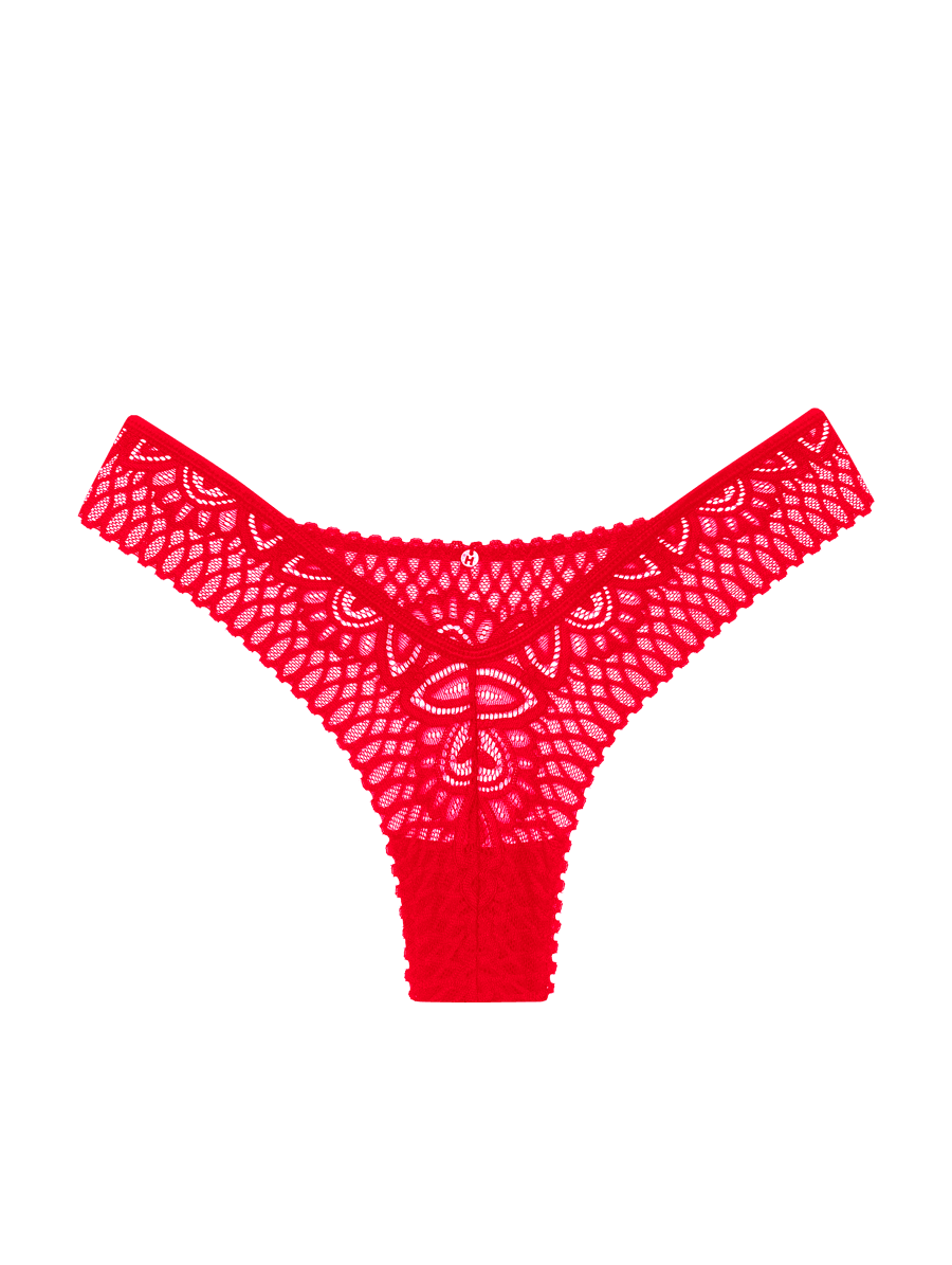 Brazilian lace thong panties