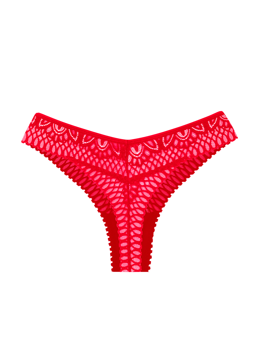 Brazilian lace thong panties
